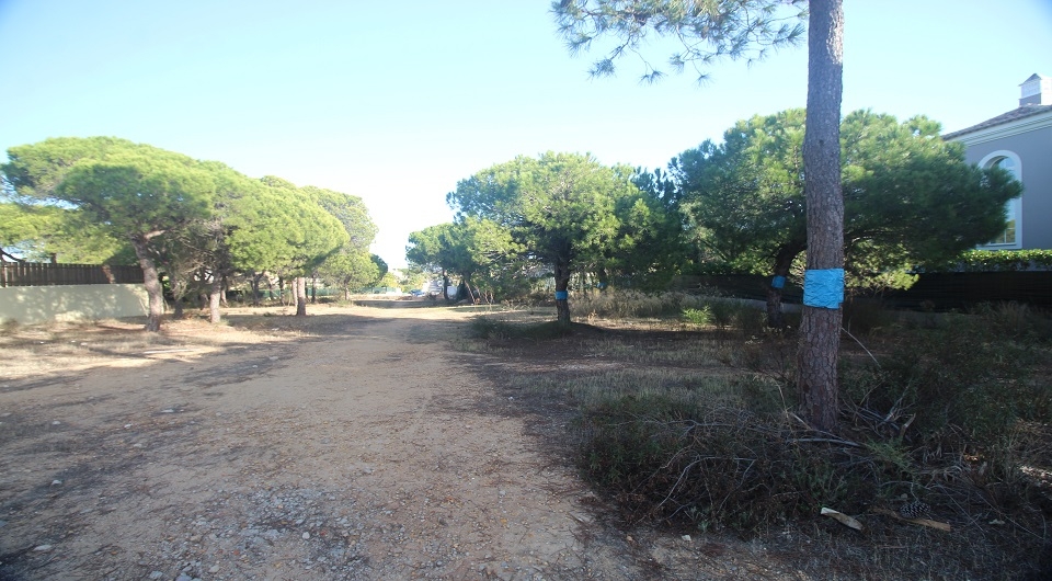 Land Accommodation in Loulé